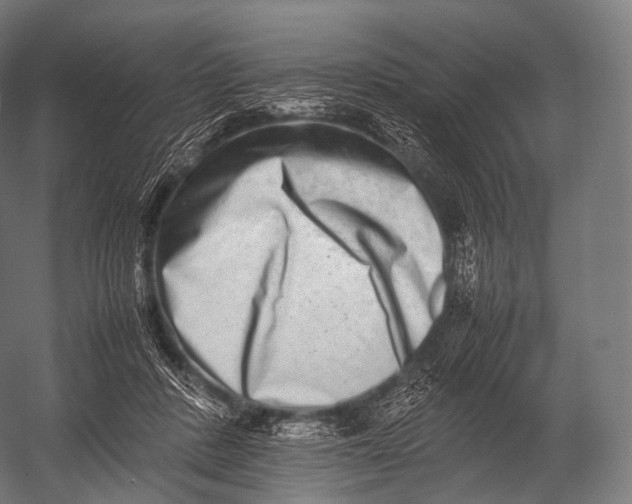 X0000052950408200507300050