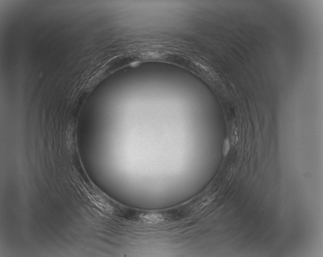 X0000052950409200507300050