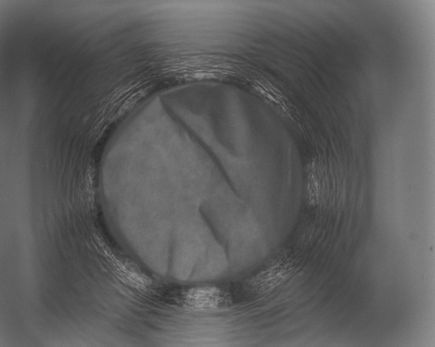 X0000052950410200507300050