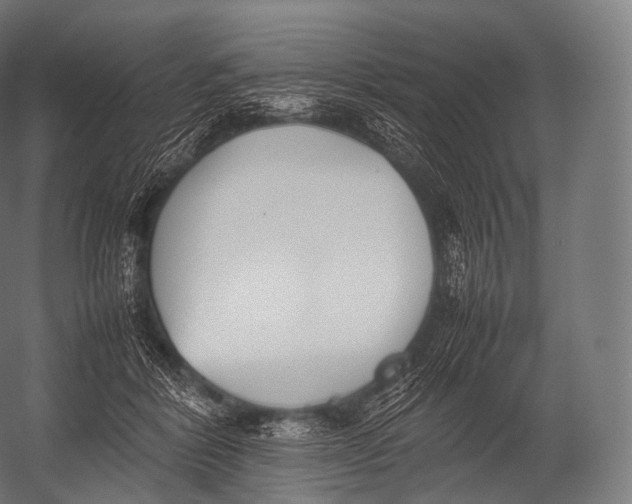X0000052950412200507300050