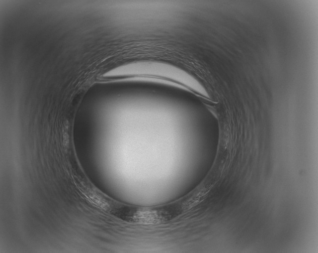 X0000052950413200507300050