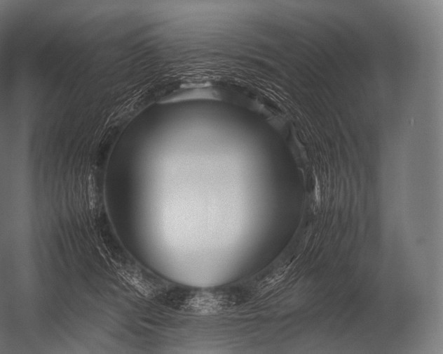 X0000052950416200507300050