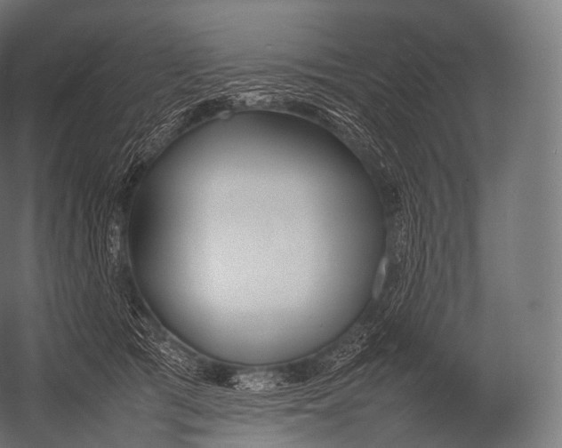 X0000052950417200507300050