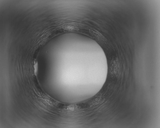 X0000052950420200507300050