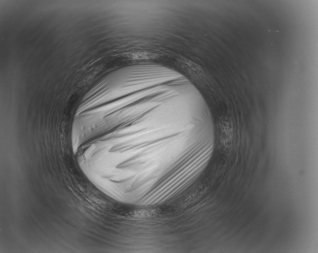 X0000052950422200507300050