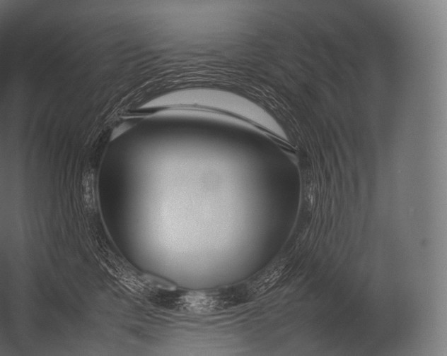 X0000052950425200507300050