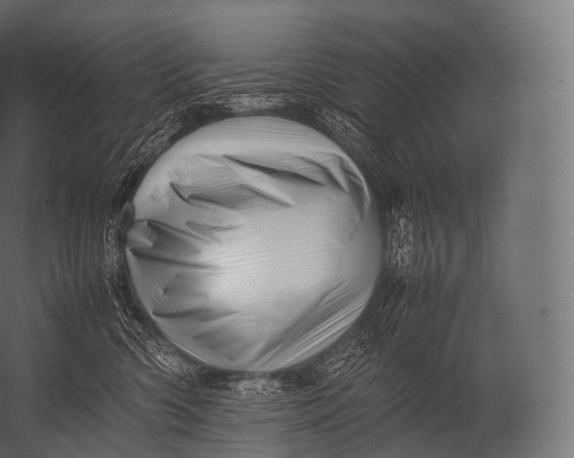 X0000052950426200507300050