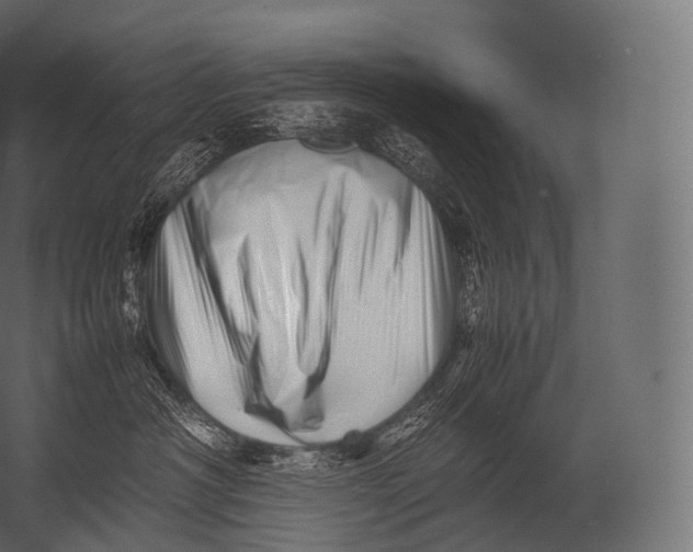X0000052950430200507300050
