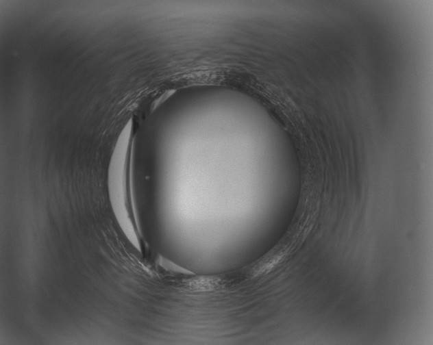 X0000052950432200507300050