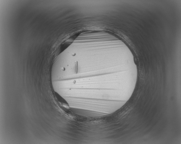 X0000052950433200507300049