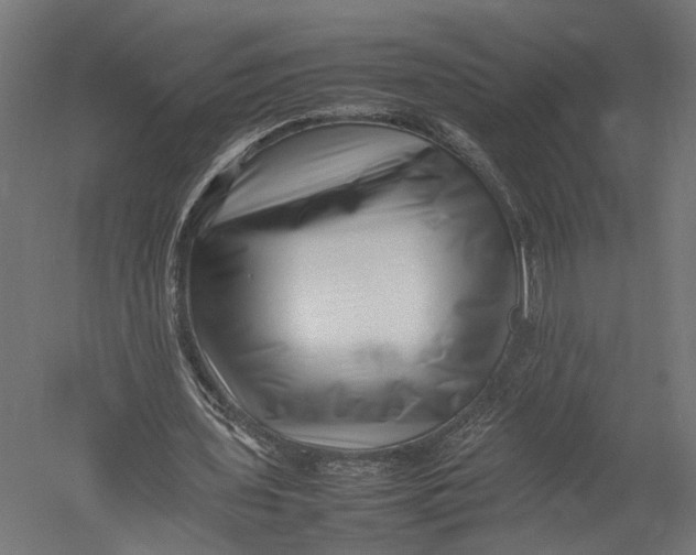 X0000052950435200507300049