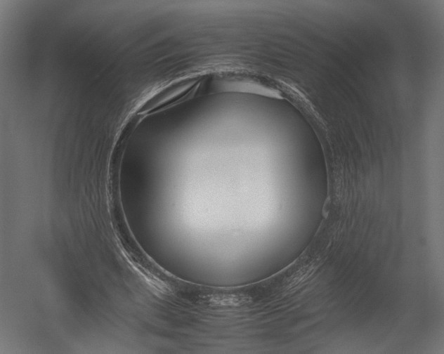 X0000052950439200507300049