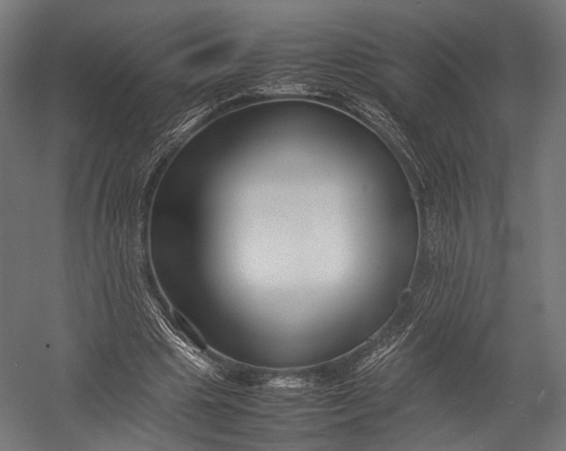 X0000052950441200507300049