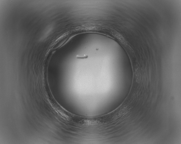 X0000052950442200507300049
