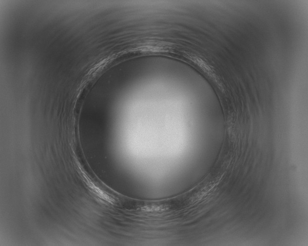 X0000052950445200507300049