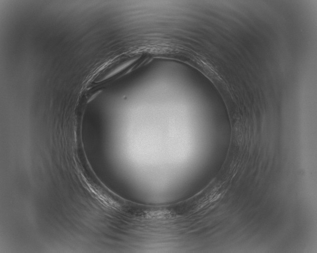 X0000052950446200507300049