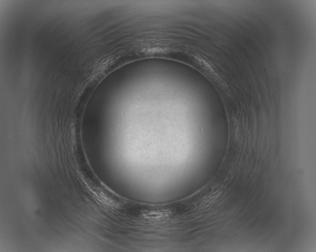 X0000052950447200507300049