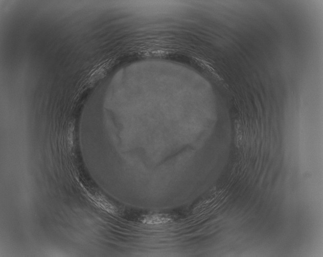 X0000052950451200507300049