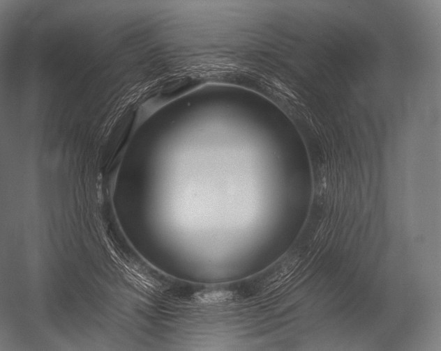 X0000052950452200507300049