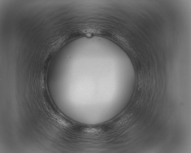 X0000052950453200507300049