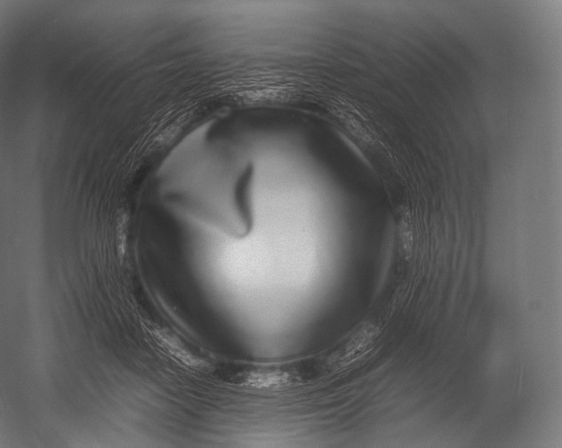 X0000052950458200507300049
