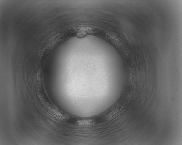 X0000052950461200507300049