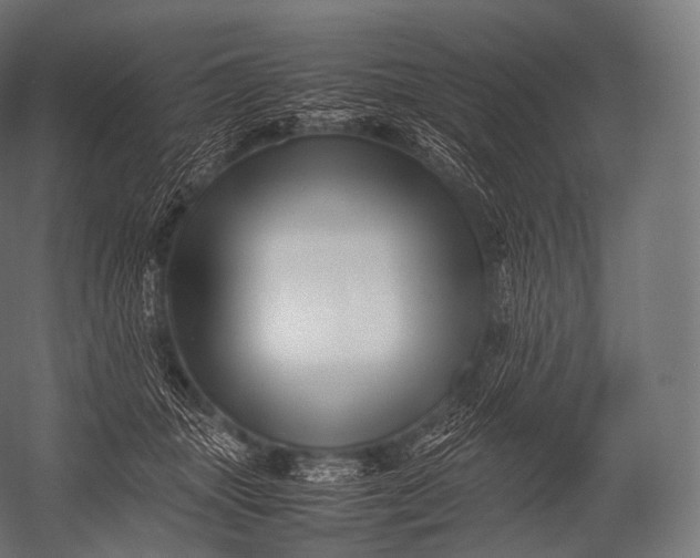 X0000052950463200507300050
