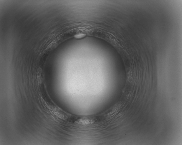 X0000052950464200507300050
