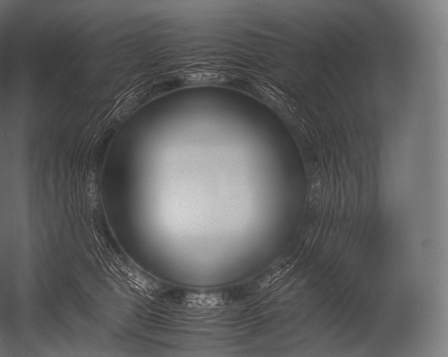 X0000052950469200507300050