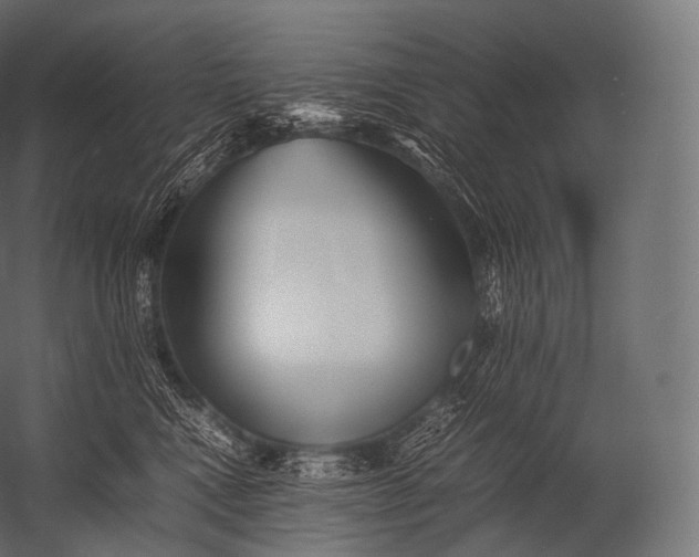 X0000052950472200507300050