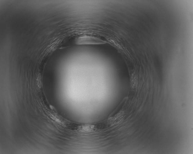 X0000052950474200507300050