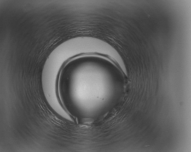 X0000052950475200507300050