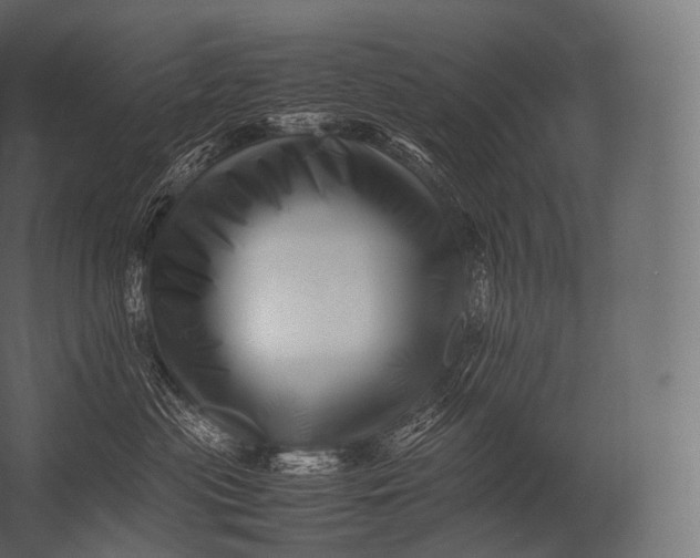 X0000052950477200507300050