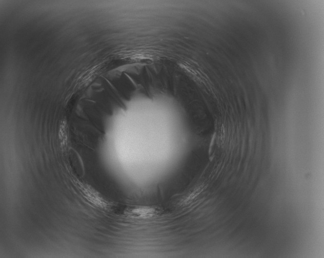 X0000052950478200507300050