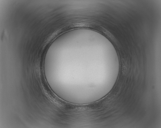 X0000052950482200507300049