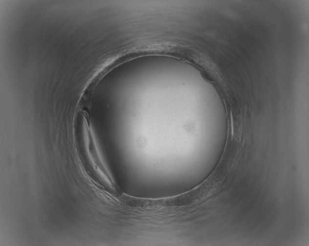 X0000052950483200507300049
