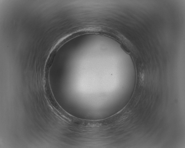 X0000052950484200507300049