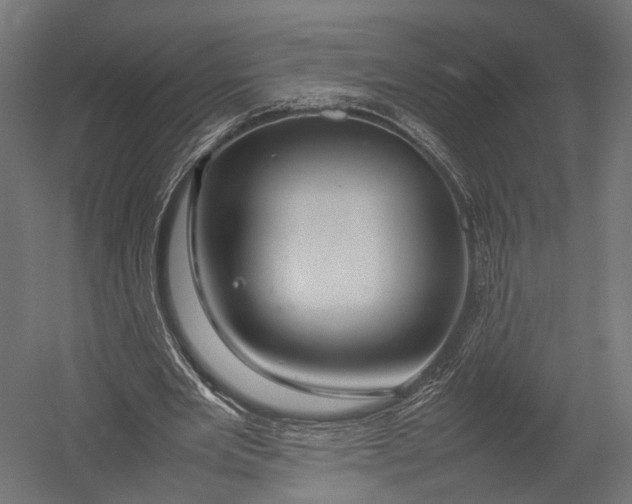 X0000052950485200507300049