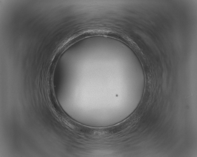 X0000052950487200507300049