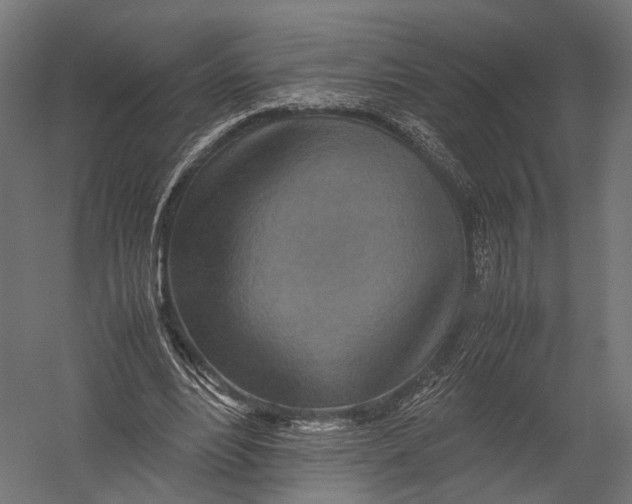 X0000052950488200507300049