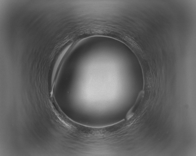 X0000052950489200507300049