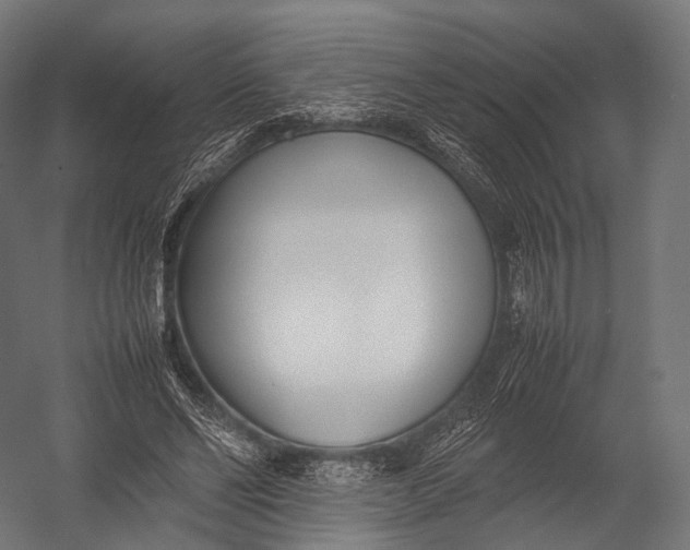 X0000052950494200507300049