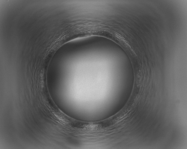 X0000052950497200507300049