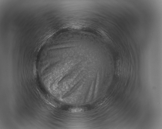 X0000052950500200507300049