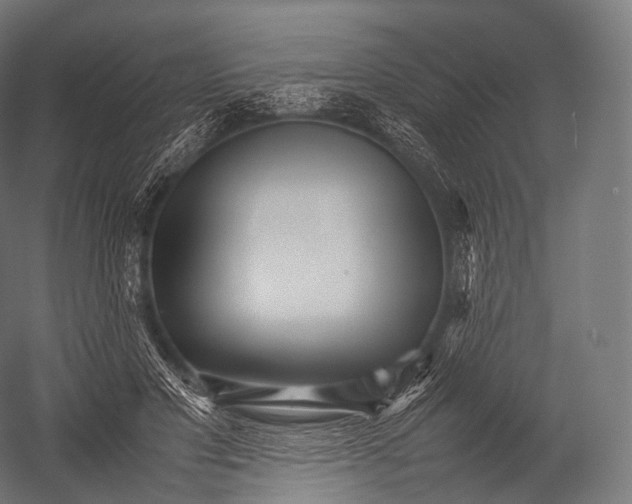 X0000052950501200507300049