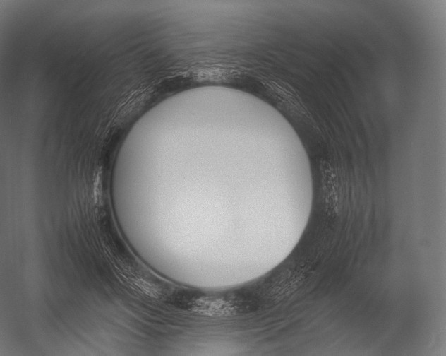 X0000052950502200507300049