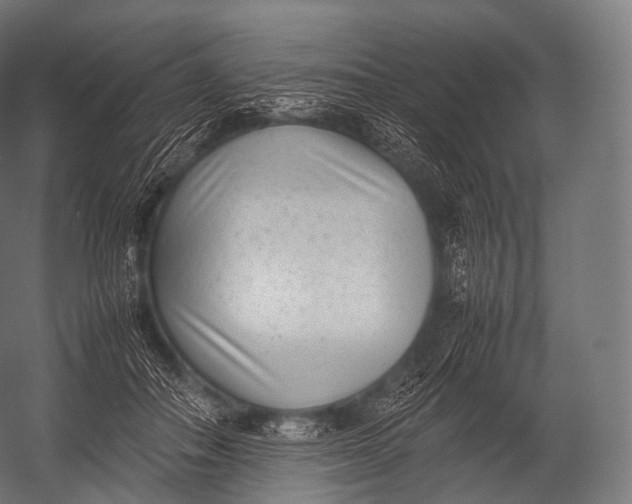 X0000052950506200507300049