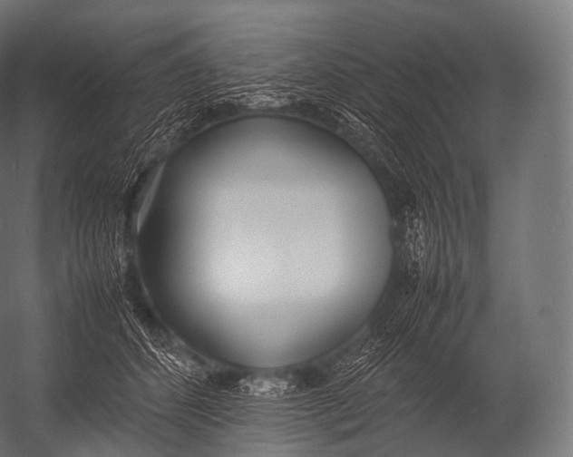 X0000052950512200507300048