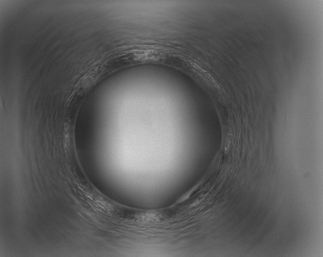X0000052950513200507300048
