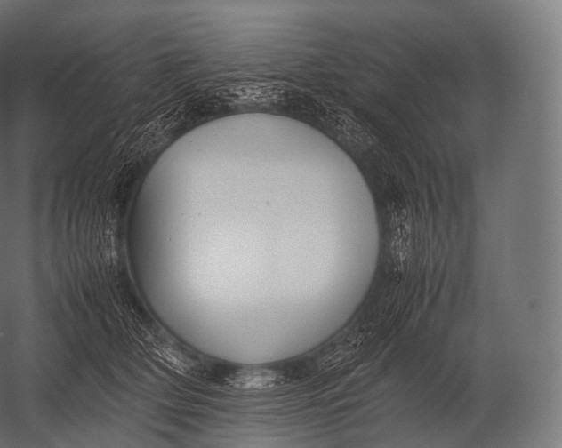 X0000052950514200507300048